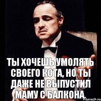 Ты хочешь умолять своего кота, но ты даже не выпустил маму с балкона.