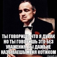 Ты говоришь что я дурак но ты говоришь это без уважения, ты даже не называешь меня котиком