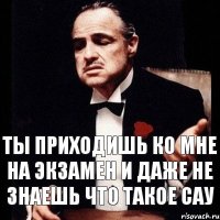 Ты приходишь ко мне на экзамен и даже не знаешь что такое САУ