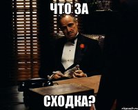 что за сходка?