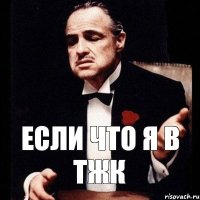 если что я в тжк