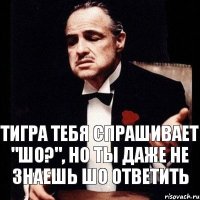 тигра тебя спрашивает "шо?", но ты даже не знаешь шо ответить