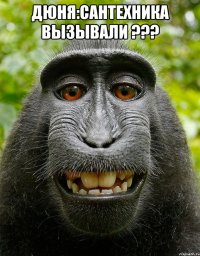 дюня:сантехника вызывали ??? 