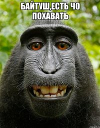 байтуш,есть чо похавать 