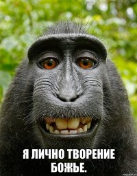  я лично творение божье.