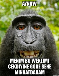 aynuw menim bu weklimi cekdiyine gore sene minnatdaram