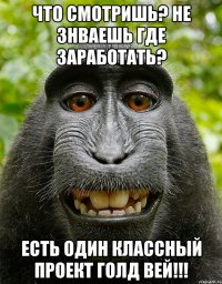 что смотришь? не знваешь где заработать? есть один классный проект голд вей!!!