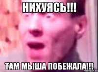 нихуясь!!! там мыша побежала!!!