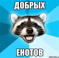 добрых енотов