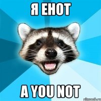 я енот a you not