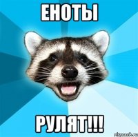 еноты рулят!!!