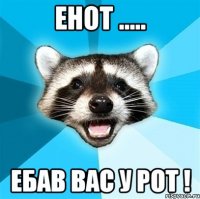 енот ..... ебав вас у рот !