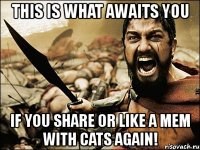 this is what awaits you if you share or like a mem with cats again!