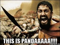  this is pandaaaaa!!!