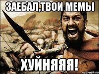 заебал,твои мемы хуйняяя!