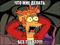 что мне делать, без тебя??!!!