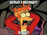 целых 2 месяца!!! пздц!!!