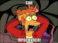 сак !проснулся!