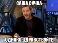 саша сучка однако здравствуйте