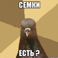 семки есть ?