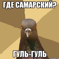 где самарский? гуль-гуль