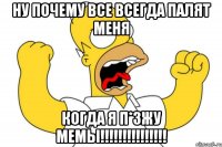 ну почему все всегда палят меня когда я п*зжу мемы!!!