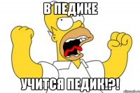 в педике учится педик!?!