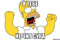 я тебе не чит сука