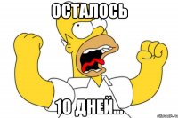 осталось 10 дней...