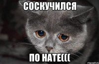 соскучился по нате(((