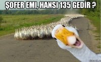 şofer emi, hansı 135 gedİr ? 