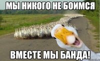 мы никого не боимся вместе мы банда!