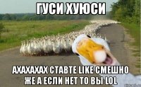 гуси хуюси ахахахах ставте like смешно же а если нет то вы lol