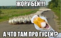 жору бей!!! а что там про гусей!?