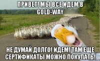 привет! мы все идем в gold-way не думай долго! идем! там еще сертификаты можно покупать!