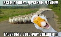 всем привет, друзьям моим!!! табуном в gold-way спешим!!!