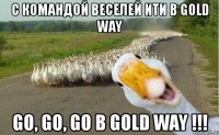 с командой веселей ити в gold way go, go, go в gold way !!!