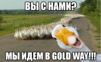 вы с нами? мы идем в gold way!!!