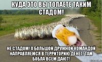 куда это вы топаете таким стадом! не стадом! а большой дружной командой направляемся в территорию денег! там бобла всем дают!