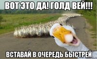 вот это да! голд вей!!! вставай в очередь быстрей