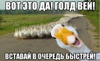 вот это да! голд вей! вставай в очередь быстрей!