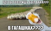 где ты говоришь был ваня??? в гагашках???