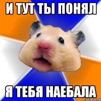 и тут ты понял я тебя наебала