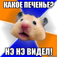 какое печенье? нэ нэ видел!