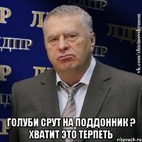  голуби срут на поддонник ? хватит это терпеть