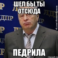 шел бы ты отсюда педрила