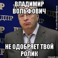 владимир вольфович не одобряет твой ролик