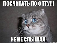 посчитать по опту!!! не не слышал.