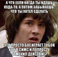 а что если когда ты идёшь куда-то, а потом забываешь, что ты хотел сделать это просто бог играет тобой как в симс и попросту отменил действие?