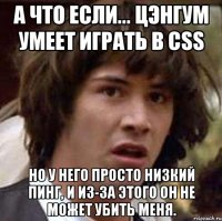 а что если... цэнгум умеет играть в css но у него просто низкий пинг, и из-за этого он не может убить меня.